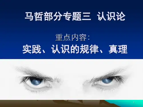 马哲部分专题三 认识论PPT演示课件