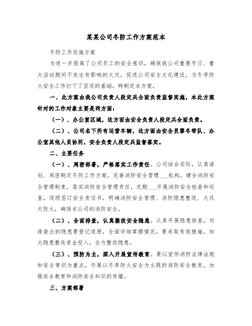 某某公司冬防工作方案范本(3篇)