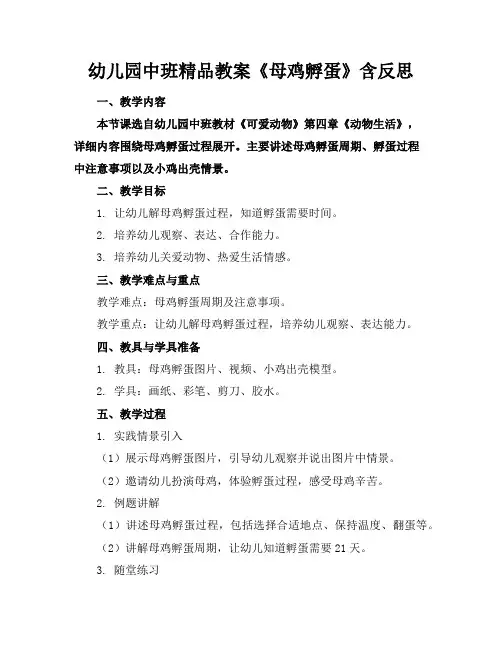 幼儿园中班精品教案《母鸡孵蛋》含反思