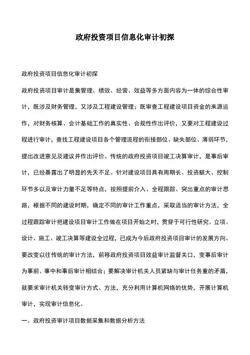 会计实务：政府投资项目信息化审计初探_0