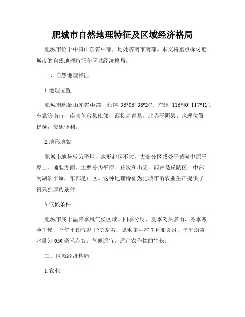 肥城市自然地理特征及区域经济格局