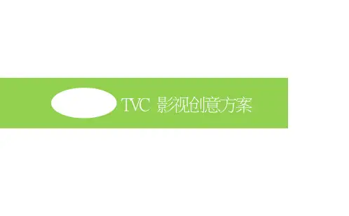 影视创意方案(ppt 41页)