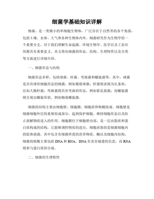 细菌学基础知识详解