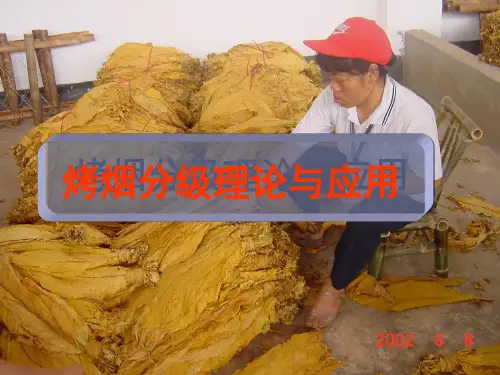 烤烟分级理论