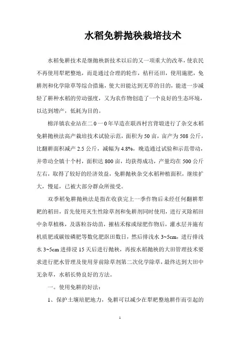 水稻免耕抛秧栽培技术