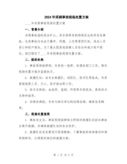 2024年采剥事故现场处置方案
