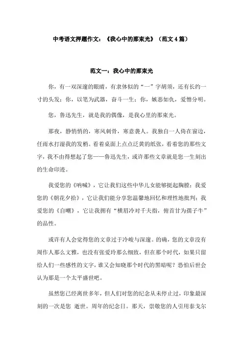 中考满分作文《我心中的那束光》