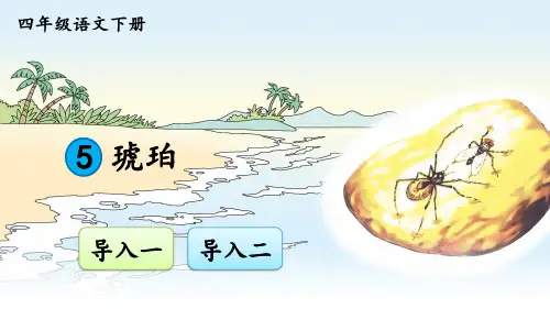 部编人教版四年级语文下册第5课《琥珀》优质PPT课件