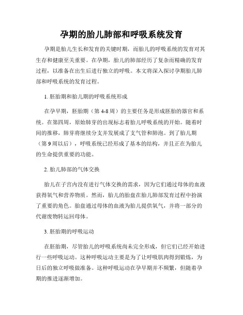 孕期的胎儿肺部和呼吸系统发育