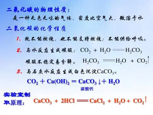 自然界中氧和碳的循环PPT(1)
