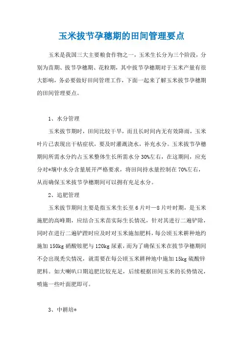 玉米拔节孕穗期的田间管理要点