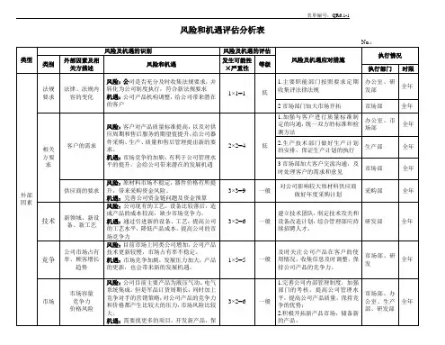 风险和机遇评估分析表
