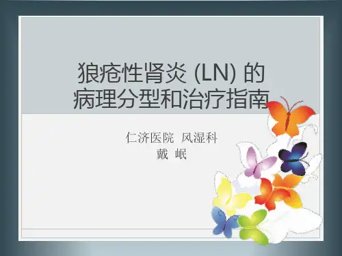 狼疮性肾炎 (LN) 的病理分型和治疗指南-精品医学 课件