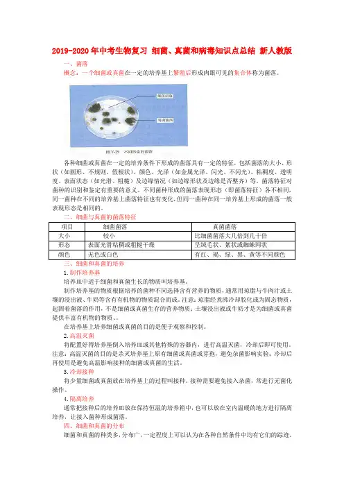 2019-2020年中考生物复习 细菌、真菌和病毒知识点总结 新人教版