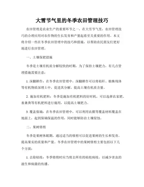 大雪节气里的冬季农田管理技巧