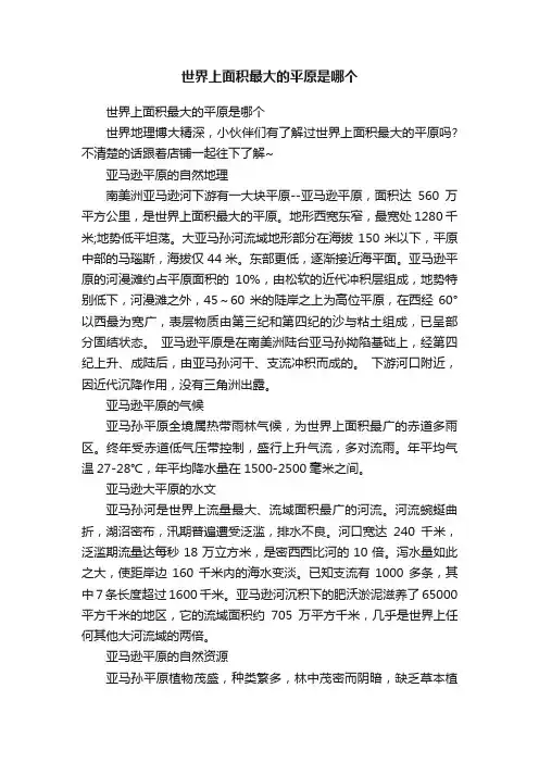 世界上面积最大的平原是哪个