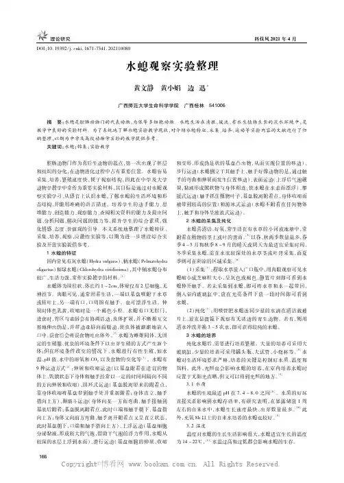水螅观察实验整理