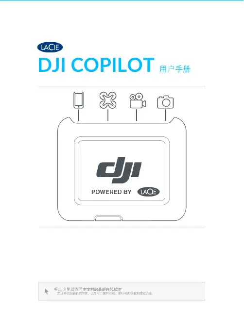 dji-copilot 用户手册说明书