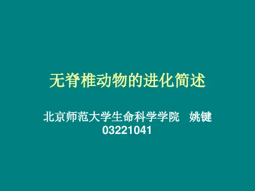 无脊椎动物的进化简述