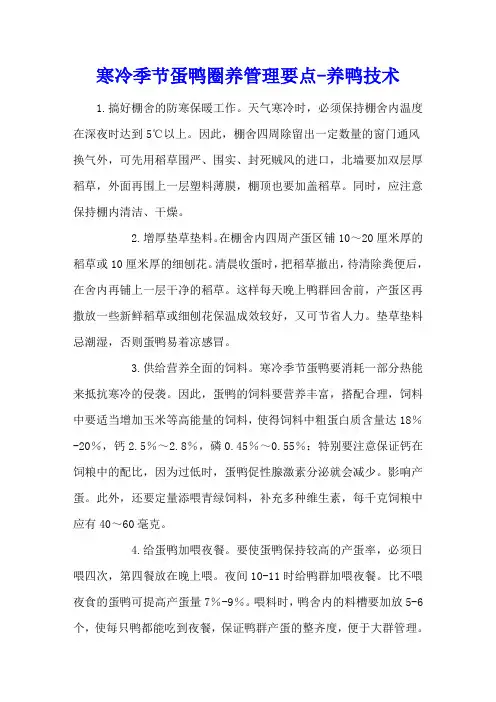 寒冷季节蛋鸭圈养管理要点 - 养鸭技术