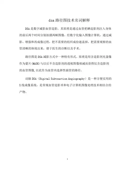 dsa路径图技术名词解释