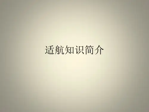 适航知识简介