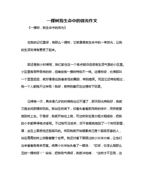 一棵树我生命中的微光作文