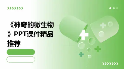 2024年度-《神奇的微生物》PPT课件精品推荐