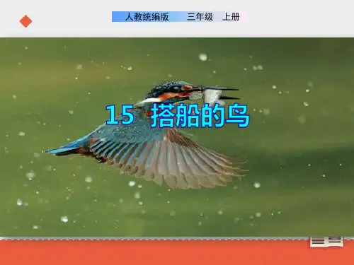 15《搭船的鸟》课件(共47张PPT)