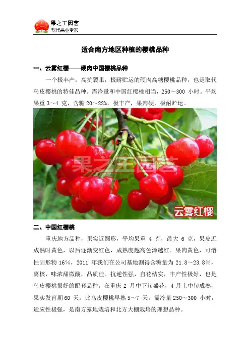 适合南方地区种植的樱桃品种