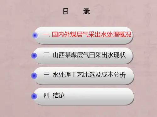 煤层气采出水处理技术分析汇报