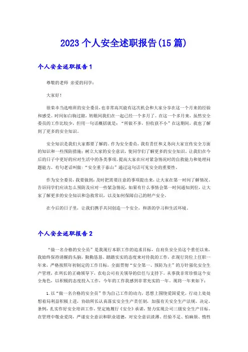 2023个人安全述职报告(15篇)
