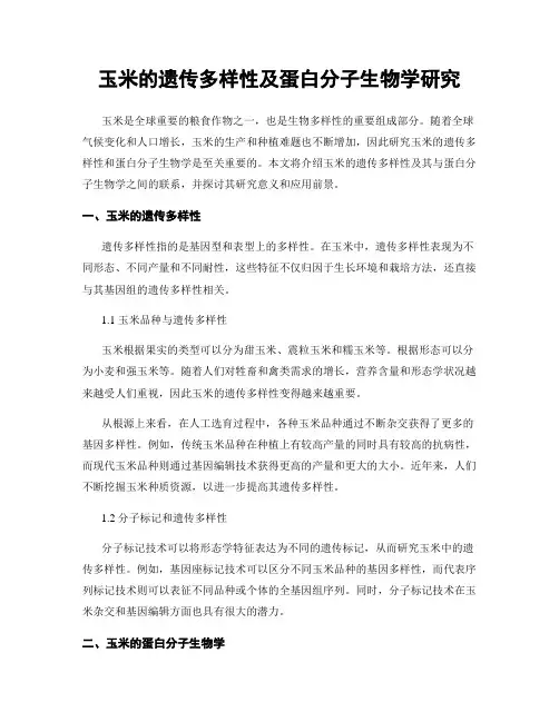 玉米的遗传多样性及蛋白分子生物学研究