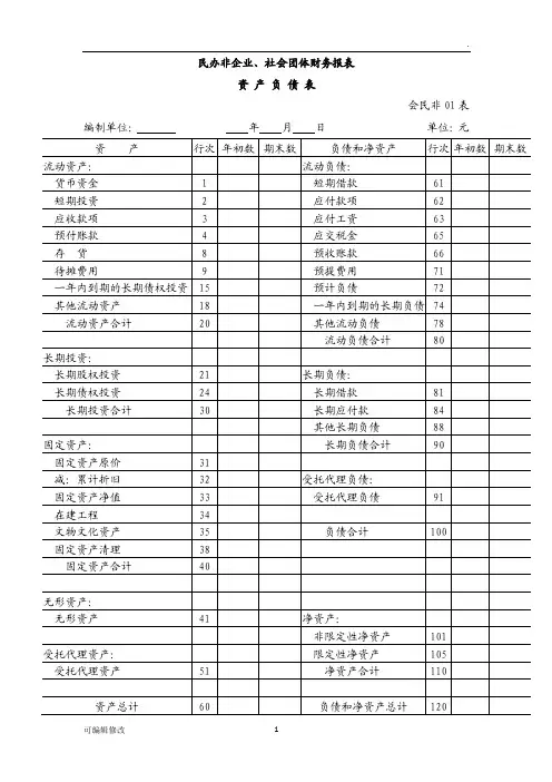 社会团体财务报表