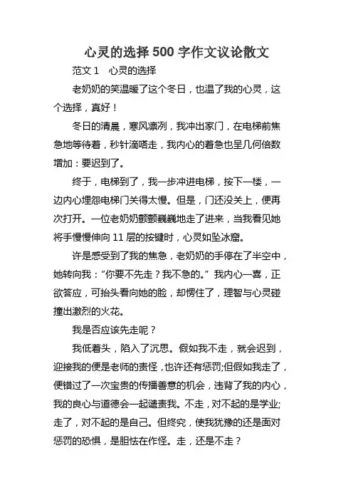 心灵的选择500字作文议论散文