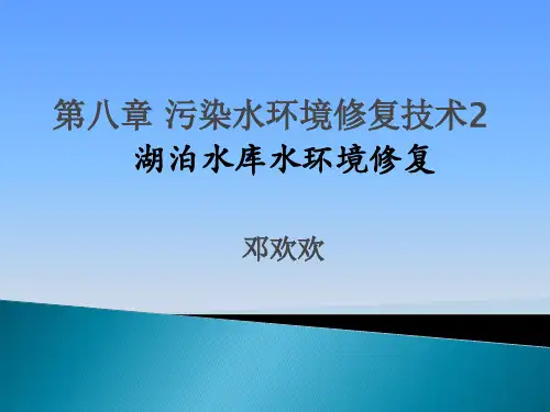 10-水环境修复-湖泊水库水环境修复