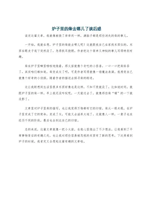 炉子里的柴去哪儿了读后感