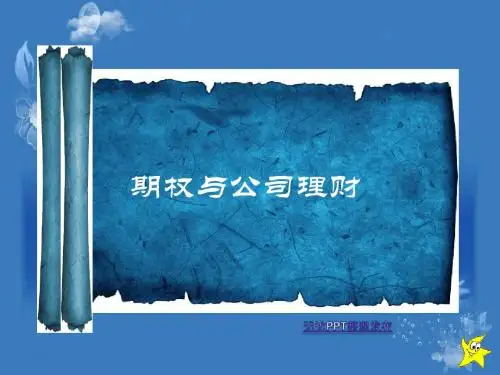 期权与公司理财相关知识(ppt62张)