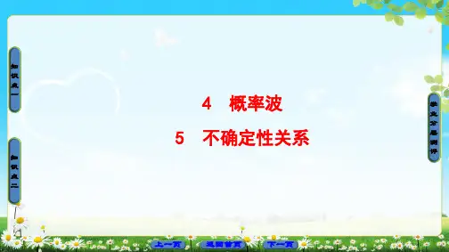 第17章 4 概率波 5 不确定性关系