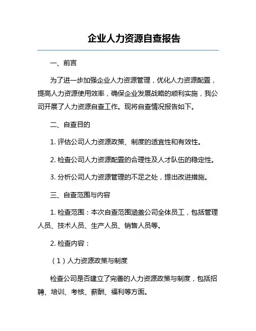 企业人力资源自查报告