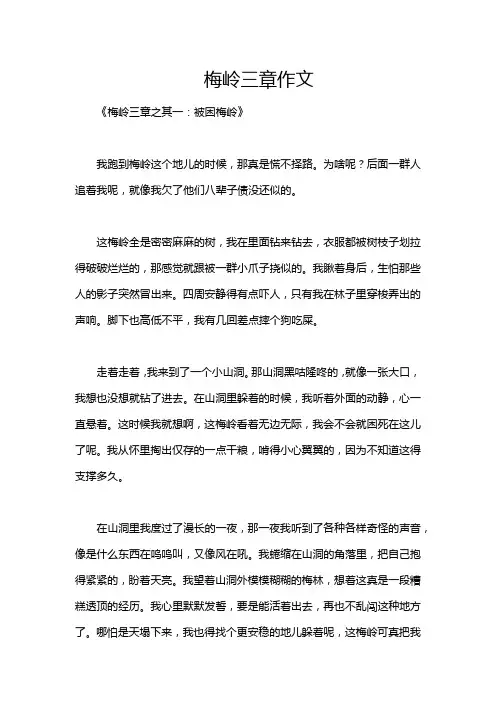 梅岭三章作文