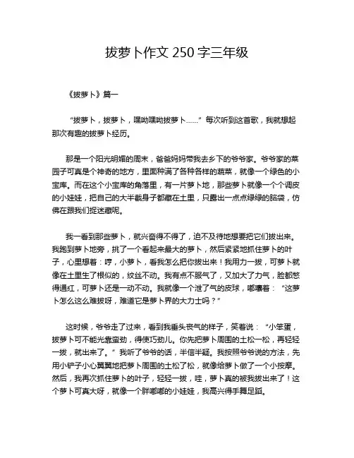 拔萝卜作文250字三年级