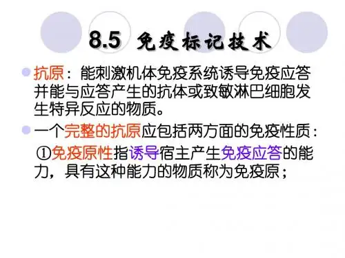 8.6免疫标记技术
