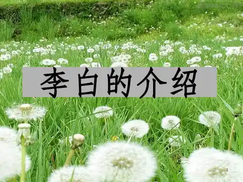 《李白的介绍》PPT课件_OK