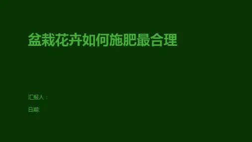 盆栽花卉如何施肥最合理