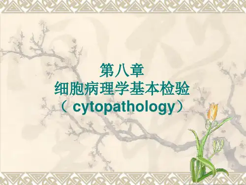 细胞病理学基本检验01(课件)