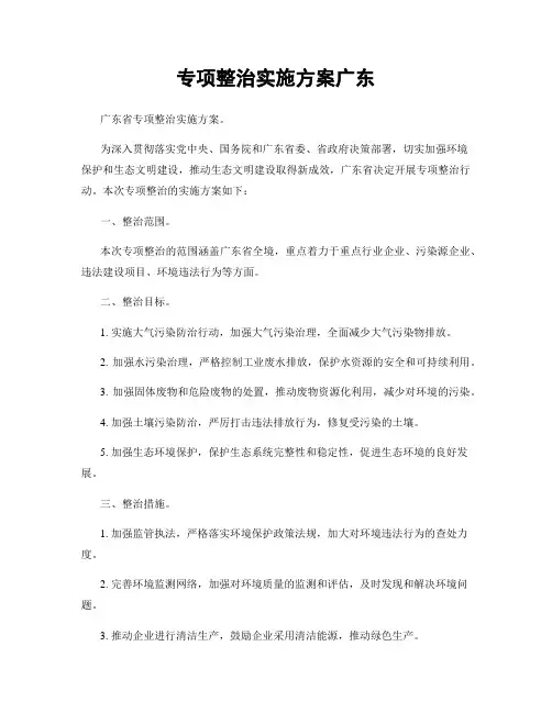 专项整治实施方案广东