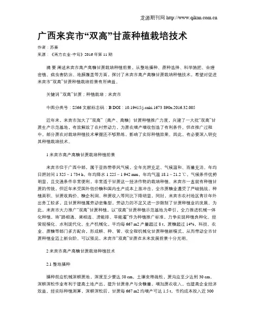 广西来宾市“双高”甘蔗种植栽培技术