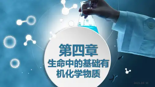 人教版《油脂》优质ppt课件