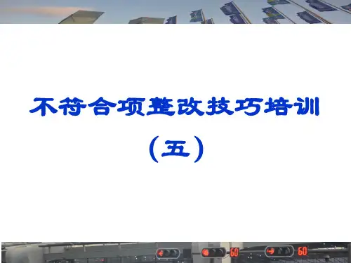 GB T19011审核指南实操案例  不符合项整改技巧培训系列课件五